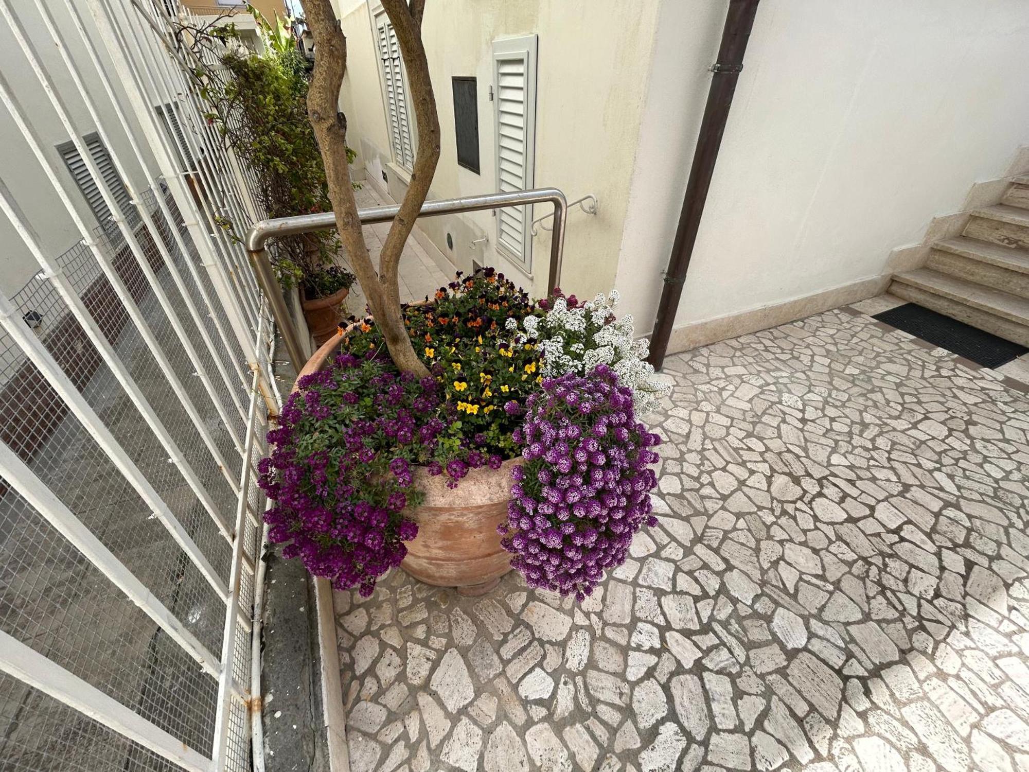 Apartmán La Casa Di Rosi Al Mare Vada Exteriér fotografie